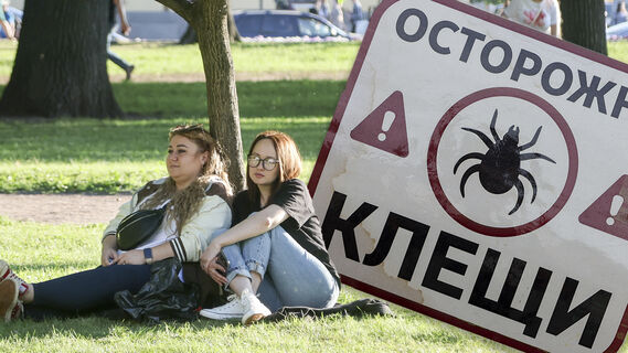 Клещи, люди