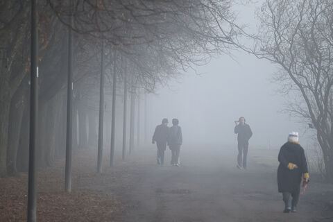 Городовой ру