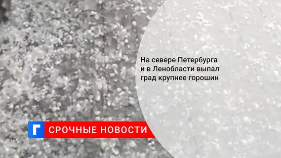 На севере Петербурга и в Ленобласти выпал град крупнее горошин На севере Петербурга и в Ленобласти выпал град крупнее горошин