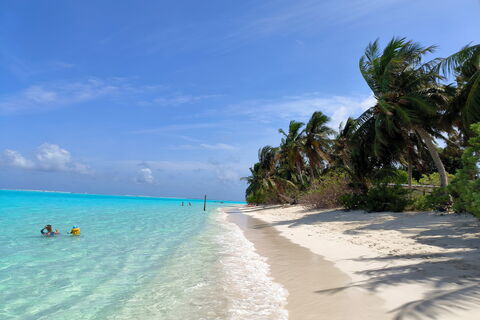 Всё раскуплено: на Новый год в Дубай и Египет мест нет, кроме тех, что по «золотой» цене
