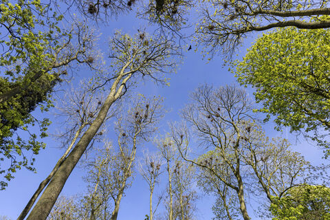 Приметы на 8 апреля – День Гавриила-Благовестника: что можно и нельзя делать 