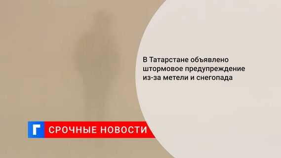В Татарстане объявлено штормовое предупреждение из-за метели и снегопада