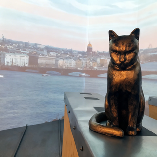 выставка, кот