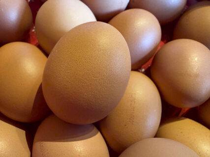 Почему коричневые яйца дороже белых и есть ли разница - разбирался шеф-повар