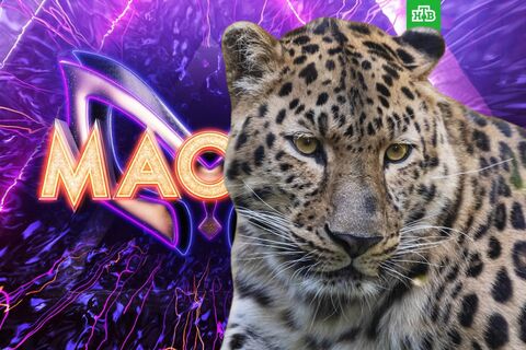 Костюм Леопарда в «Маске» дал важные подсказки: заявка на победу