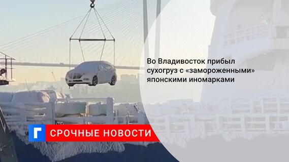 Во Владивосток прибыл сухогруз с «замороженными» японскими иномарками