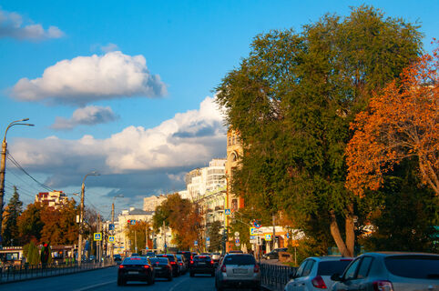 Городовой ру