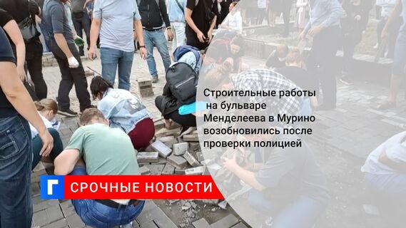 Строительные работы на бульваре Менделеева в Мурино возобновились после проверки полицией