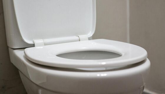 Попробуйте этот способ один раз — больше к щётке не потянетесь: чистый унитаз за одну ночь