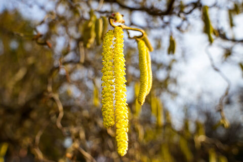 22 апреля – какой сегодня день: что отмечают в России и в мире – важные исторические события и памятные даты 