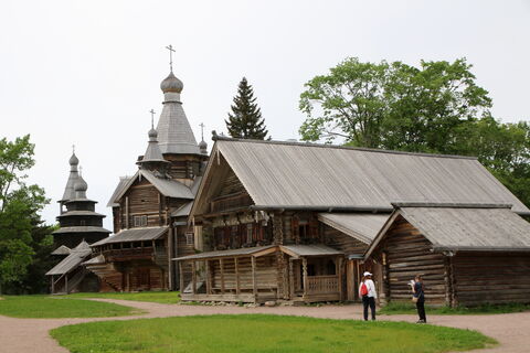 музей, дерево