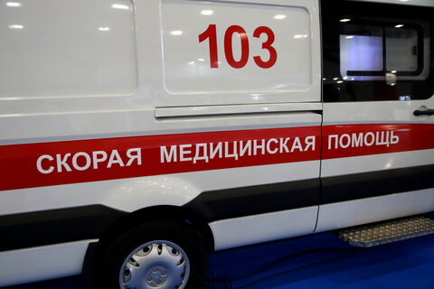 Москитная сетка убивает: в Петербурге борются за жизнь второклассницы после падения из окна