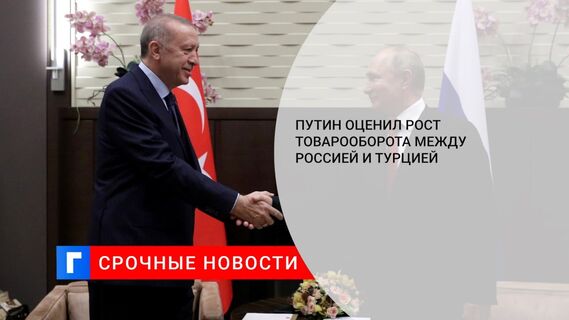 Путин оценил рост товарооборота между Россией и Турцией