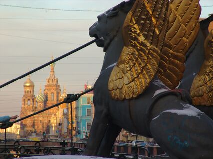 Грифоны, Петербург