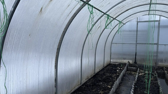 Как прогреть почву в теплице: через 3 дня +15 градусов на глубине штыка лопаты – без пленки и кипятка