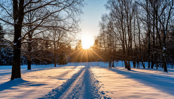 Метеозависимые петербуржцы встретят 2026‑й год, схватившись за голову