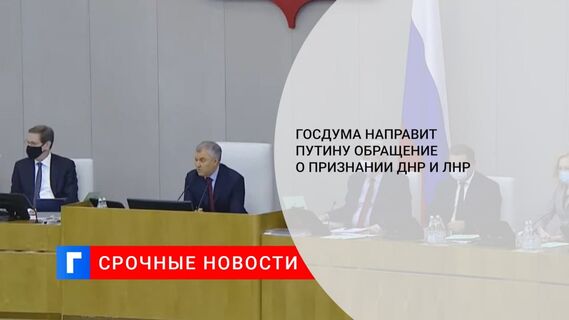 Госдума направит президенту Путину обращение о признании ДНР и ЛНР