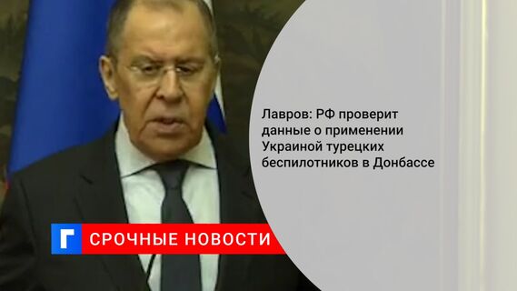 Лавров: РФ проверит данные о применении Украиной турецких беспилотников в Донбассе