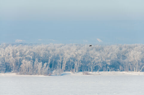 Опасная прогулка: что произошло с пропавшим под Тосно мужчиной