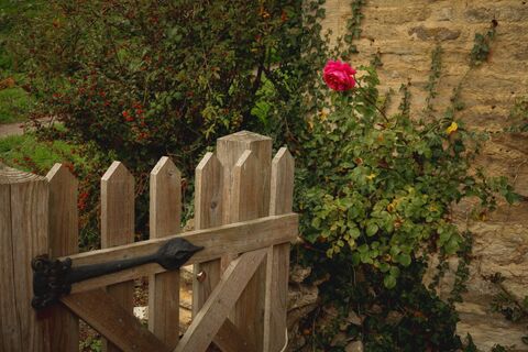 Разрежешь буханку хлеба на закате — жди бедность в семью: эти и другие народные приметы на 20 апреля