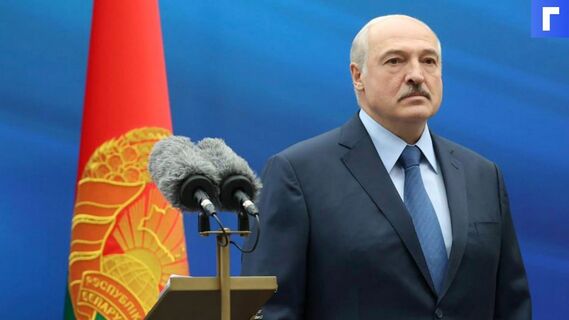Президентом олимпийского комитета Белоруссии избран Виктор Лукашенко 