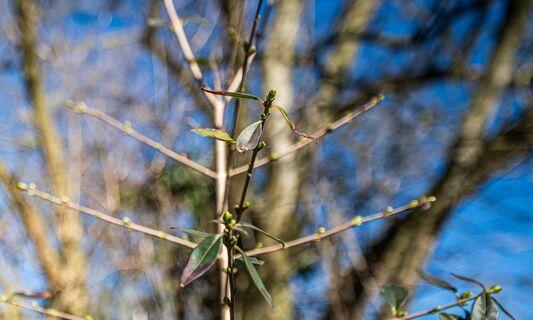 После рекордных морозов - аномальная жара: какая погода ожидается в России в 2026 году