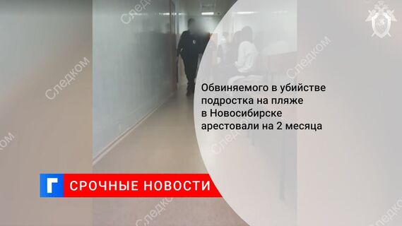 Обвиняемого в убийстве подростка на пляже в Новосибирске арестовали на 2 месяца