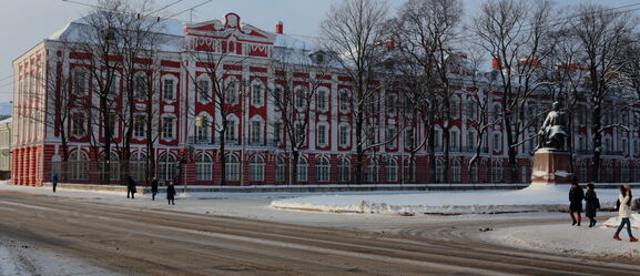 Рособрнадзор вынес предостережения трем вузам: на чем споткнулся даже СПбГУ?