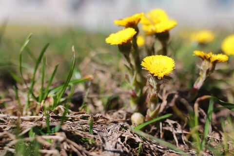 Народная приметы погоды на 30 марта – к жаркому лету и богатому урожаю  