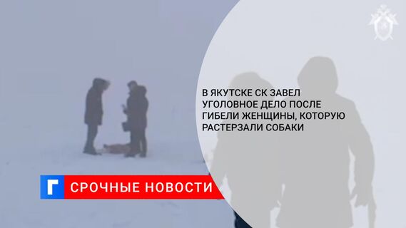 В Якутске СК завел уголовное дело после гибели женщины, которую растерзали собаки
