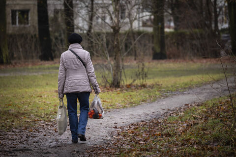 Городовой ру