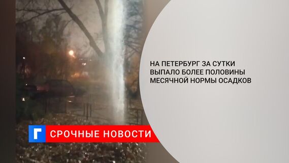 На Петербург за сутки выпало более половины месячной нормы осадков