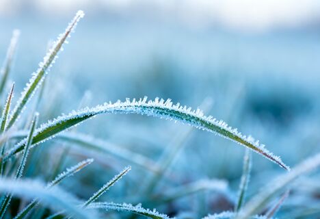 Синоптики рассказали, когда ждать возвратных заморозков: в каких регионах похолодает во второй половине апреля 2026 года