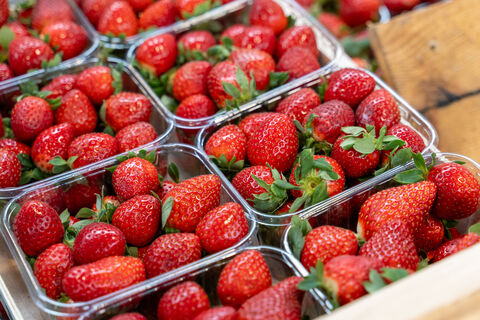 Клубнике после схода снега - первым делом: Важная подкормка в марте гарантирует урожай