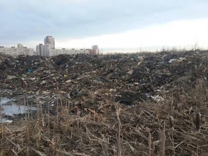 Золоотвал на Дальневосточном станет темой экологического круглого стола 14 апреля 