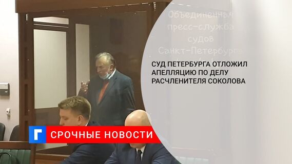 Суд в Петербурге отложил рассмотрение жалобы на приговор историку Соколову