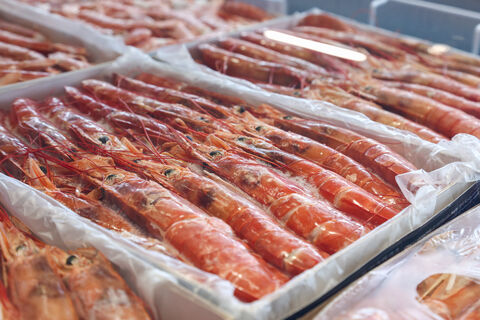 Морепродукты в России резко подорожали: какие цены можно увидеть в магазинах