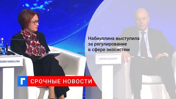 Набиуллина выступила за регулирование в сфере экосистем