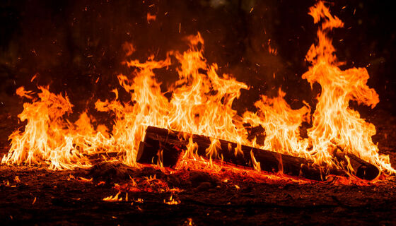 Мать и дети погибли в огне дачного домика: после пожара в Петербурге возбудили уголовное дело