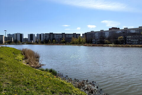 Берег вернули городу: Галерную гавань очистили от самостроя