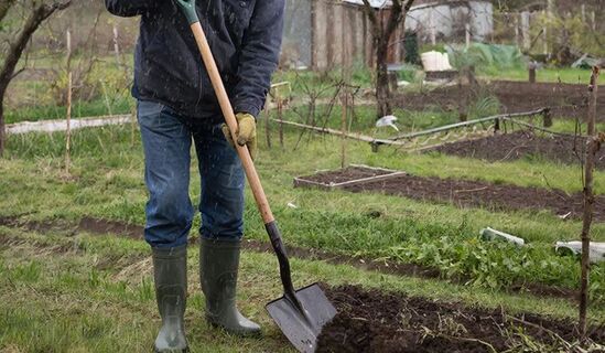 Что сеять 20 марта 2026 года: Лунный календарь садовода и огородника даст чёткий ответ