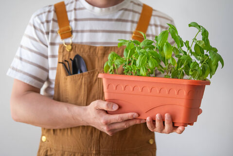 Городовой ру