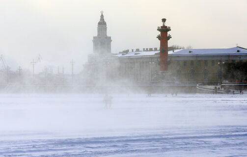 Кунсткамера, скорые, торговля
