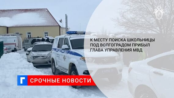 Под Волгоград к месту поиска 15-летней школьницы выехал врио начальника ГУ МВД