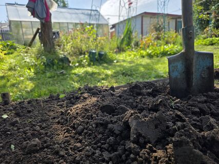 Обратный эффект: агроном Давыдова объяснила, почему нельзя слишком часто перекапывать землю на даче – точка в спорах огородников поставлена