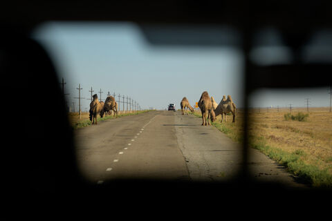 Российский город за пределами России: славится не только верблюдами - у всех на слуху, но о нем никто не знает