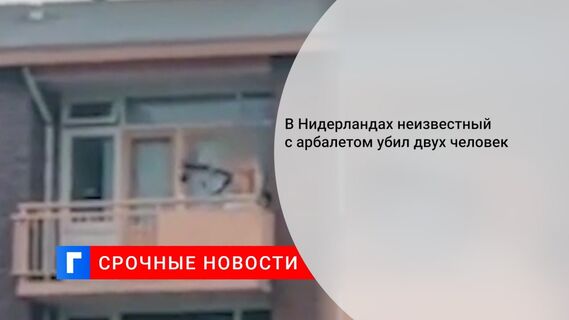 В Нидерландах неизвестный с арбалетом убил двух человек