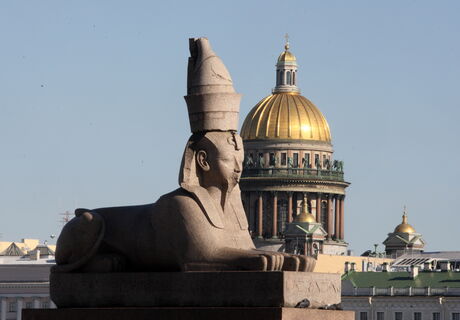 Сфинксы