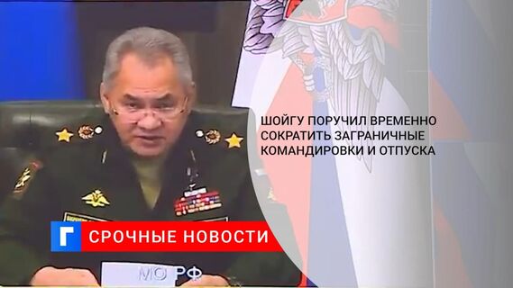 Шойгу поручил временно сократить заграничные командировки и отпуска из-за омикрон-штамма