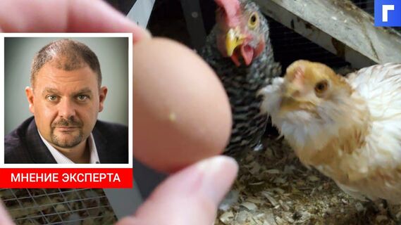 Российские производители мяса птицы и яиц договорились о сдерживании цен